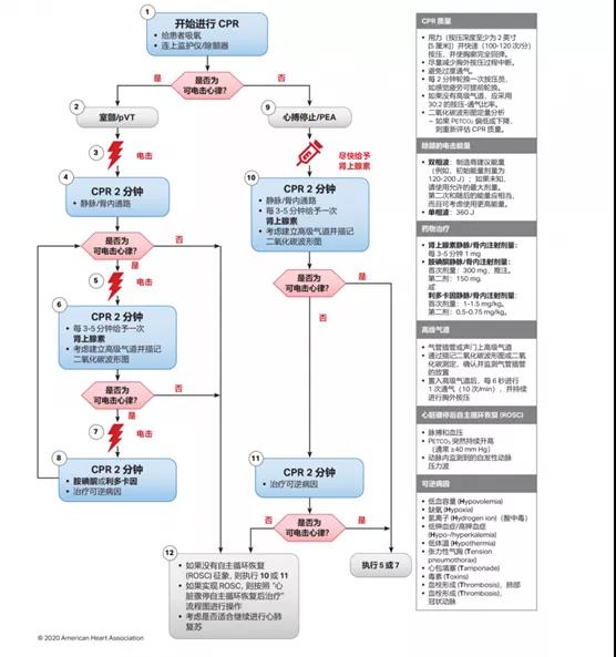 赛为安全应急救援技术02.jpg